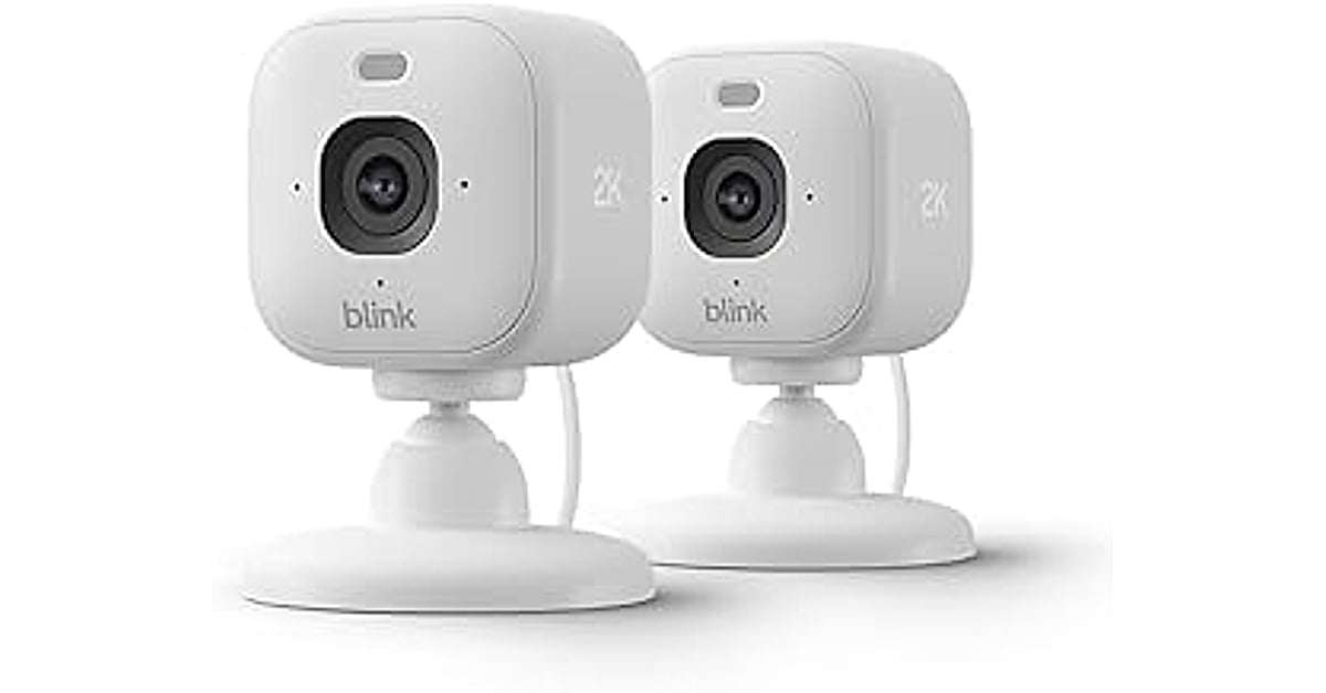 blink mini 2k+