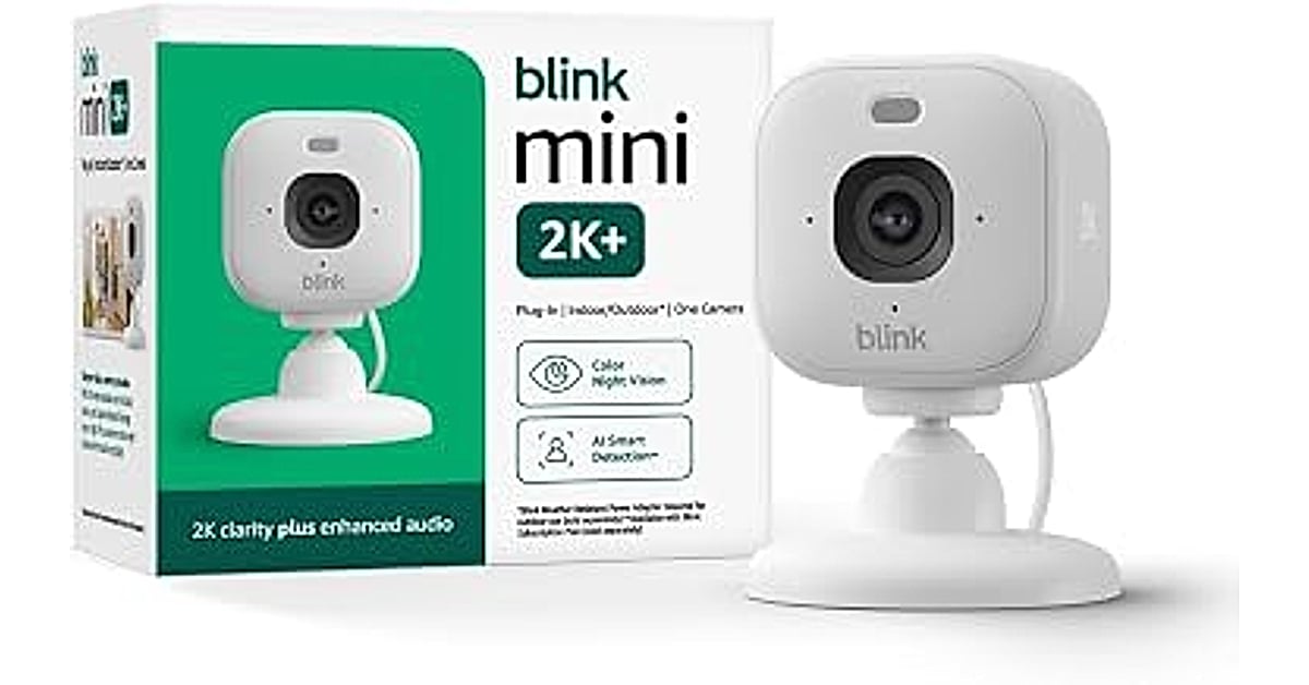 blink mini 2k+