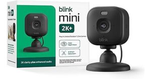 blink mini 2k+