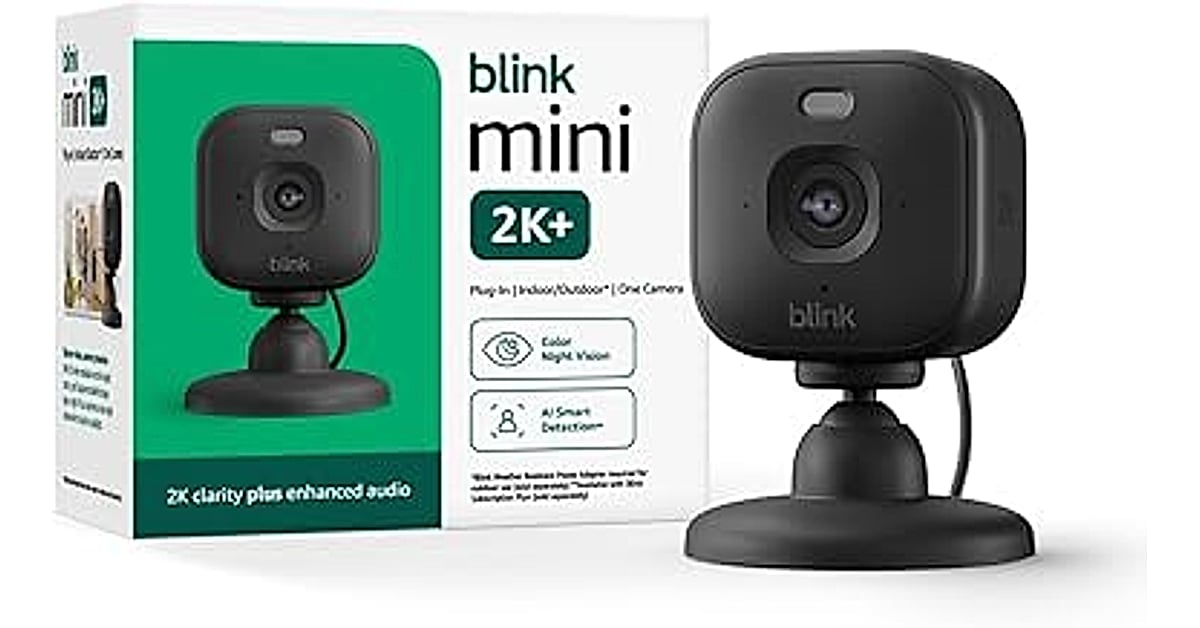 blink mini 2k+