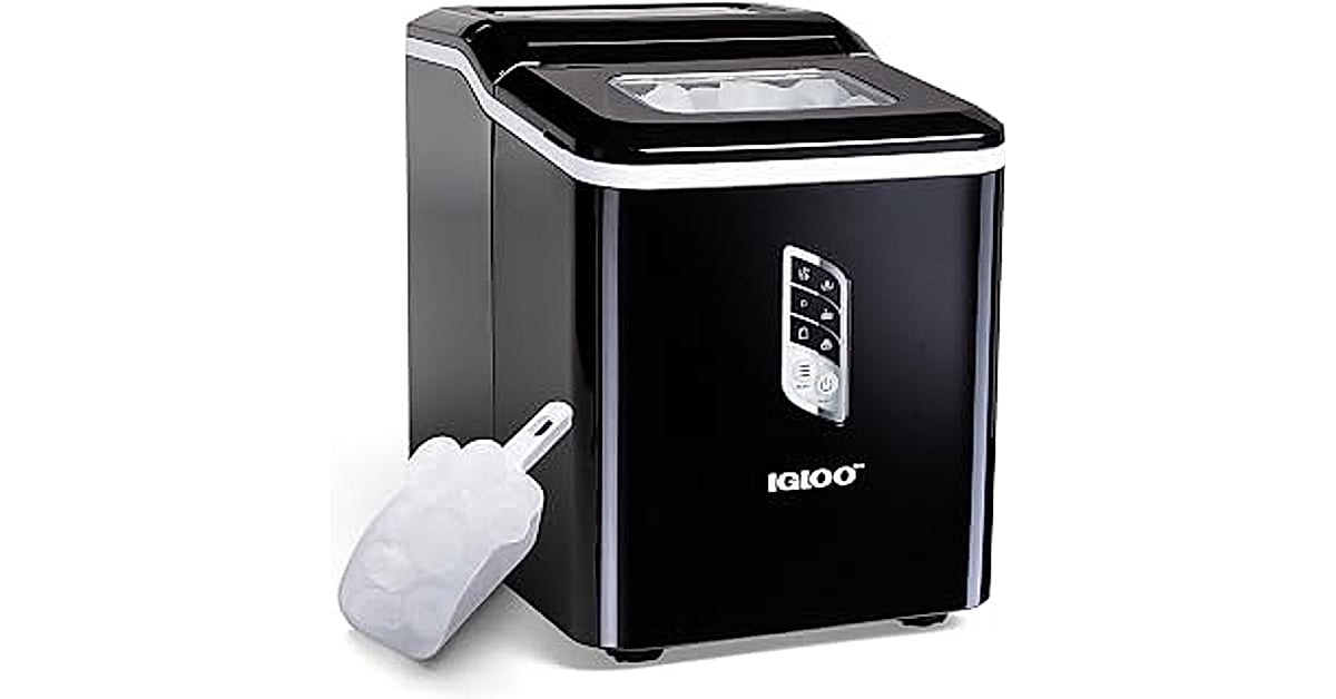 igloo portable ice