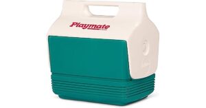 igloo portable ice