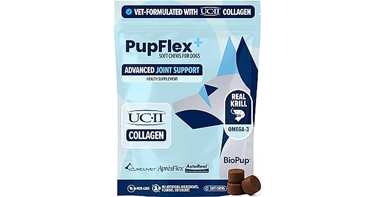 amazon basics dog