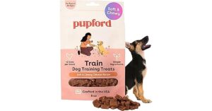 amazon basics dog
