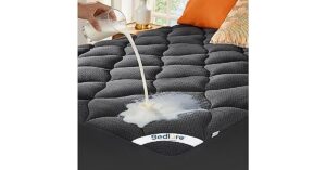 bedlore waterproof mattress
