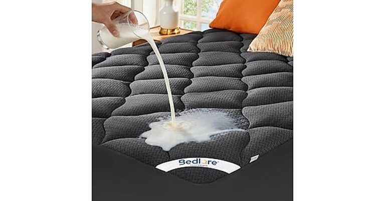 Bedlore Waterproof Mattress: 5 Amazing Tips to Protect Your Bed for Years 25 bedlore waterproof mattress