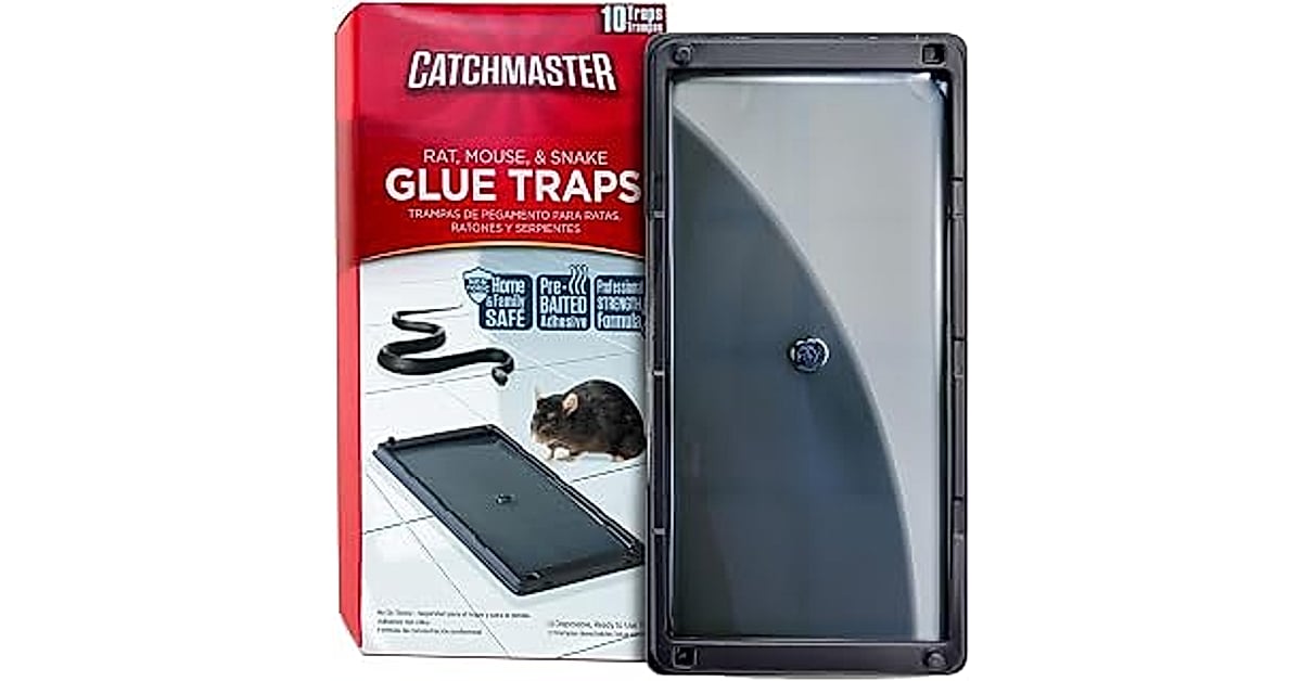 catchmaster rat &