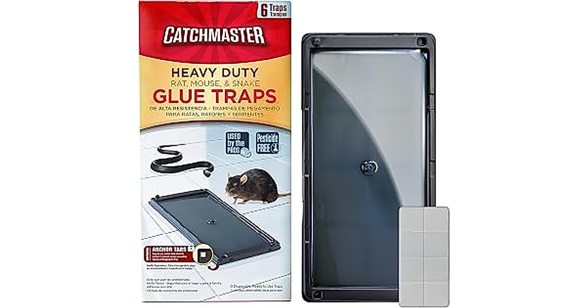 catchmaster rat &