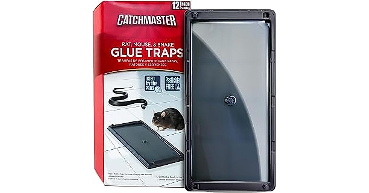 catchmaster rat &