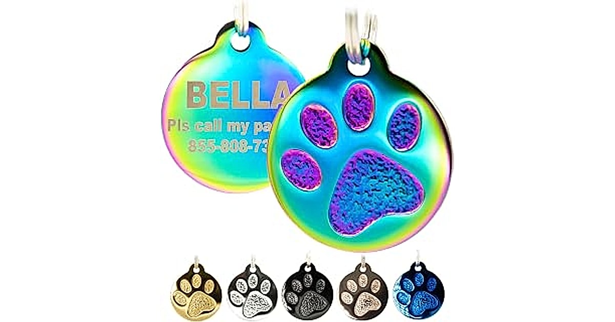 Cats and Dogs: 5 Amazing Tips to Improve Their Bond 3 cats dogs id