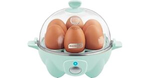 dash rapid egg