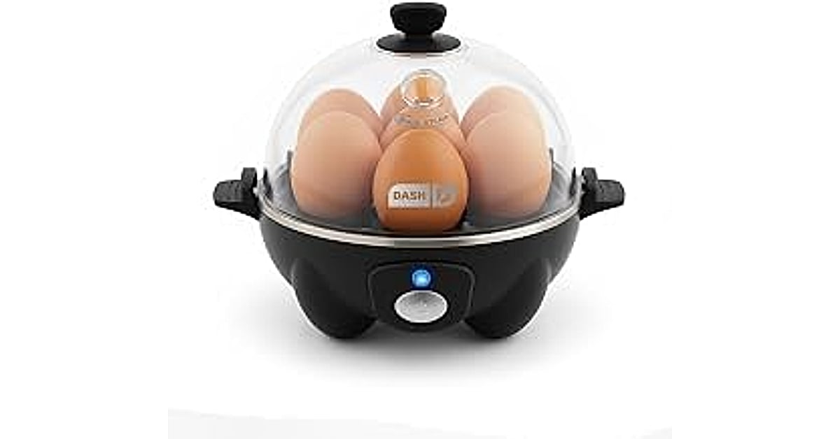 dash rapid egg