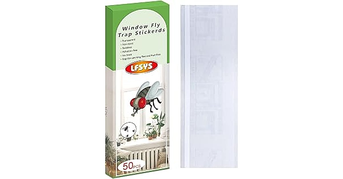 fly strips indoor