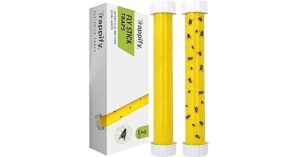 fly strips indoor
