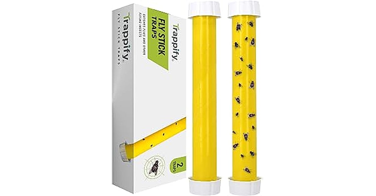 fly strips indoor