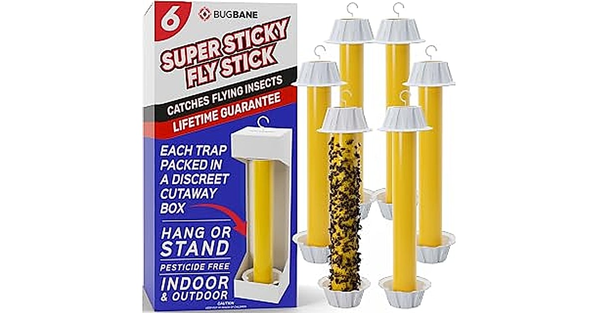 fly strips indoor