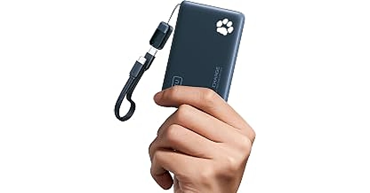 iniu 10000mah 45w