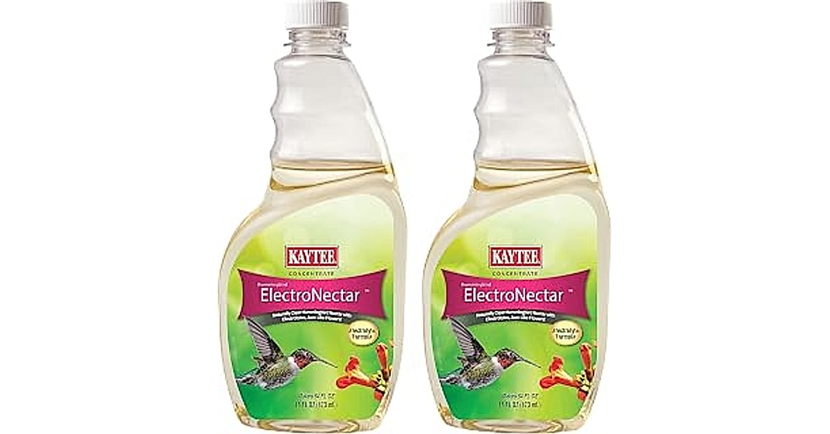 Kaytee Hummingbird Electronectar: 5 Amazing Tips to Attract More Hummingbirds 3 kaytee hummingbird electronectar