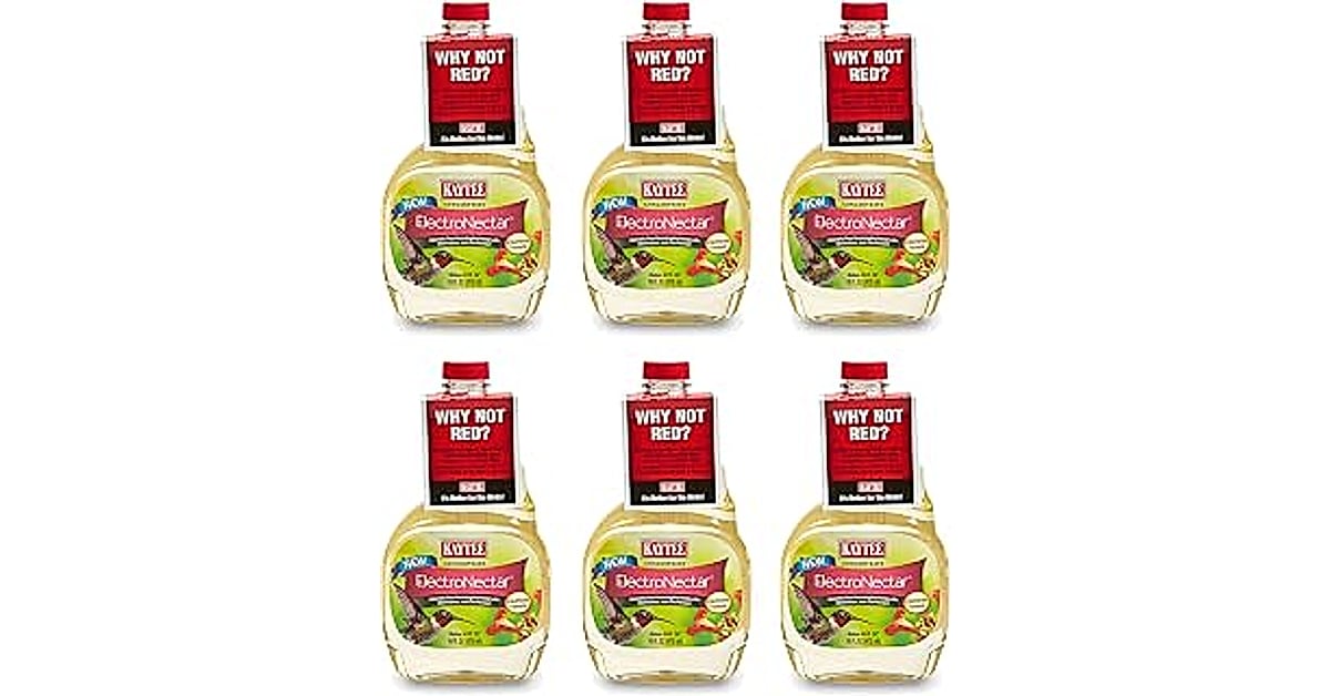 Kaytee Hummingbird Electronectar: 5 Amazing Tips to Attract More Hummingbirds 1 kaytee hummingbird electronectar