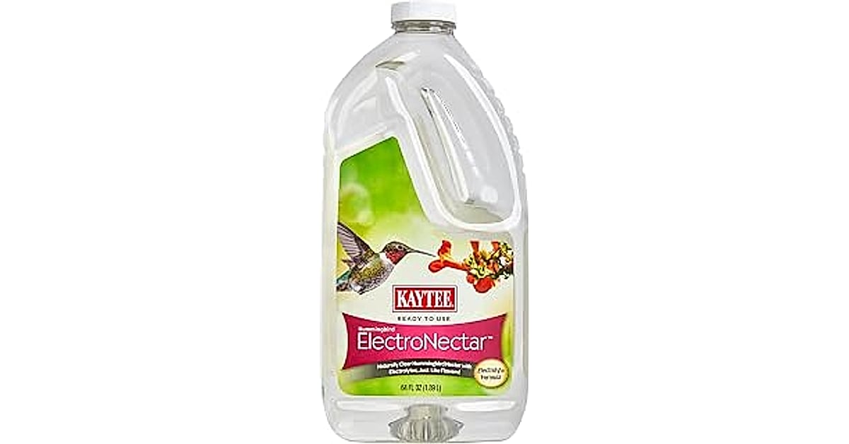 kaytee hummingbird electronectar