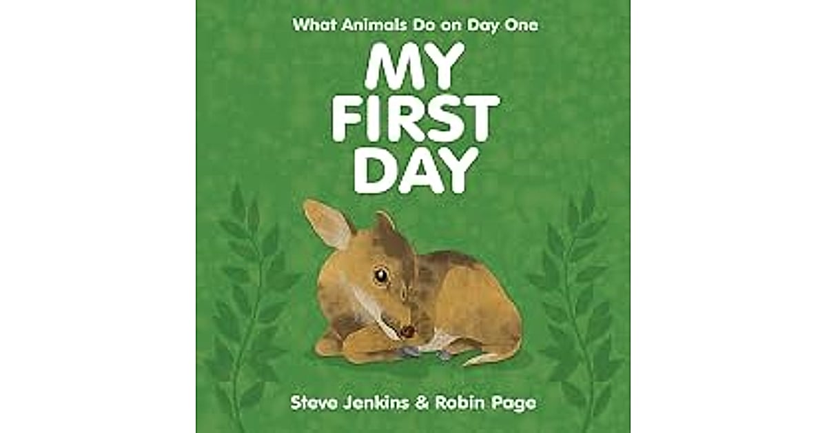 My First Day: 5 Amazing Tips to Start Your Job with Confidence 3 my first day