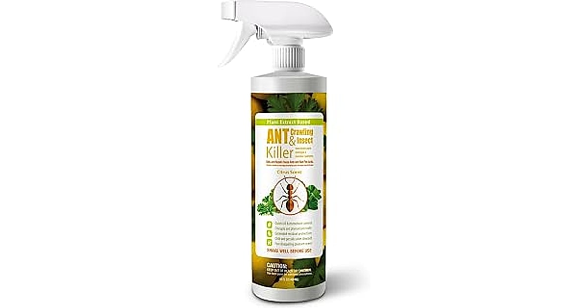 raid ant &