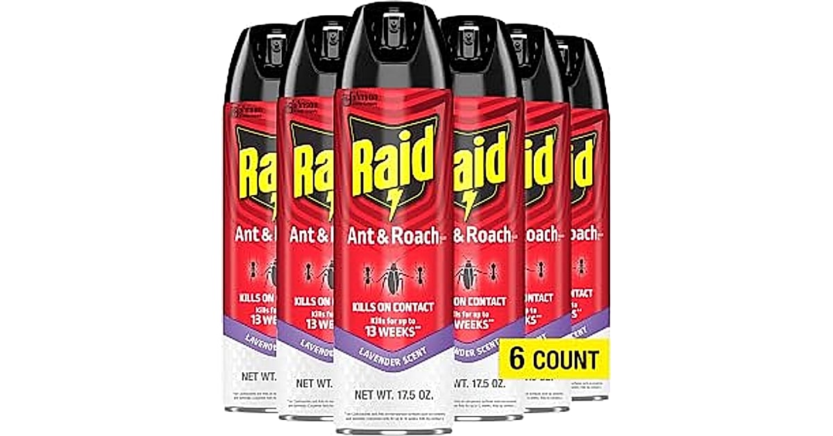 raid ant &