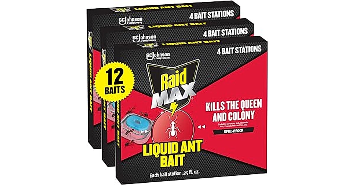 raid wasp &