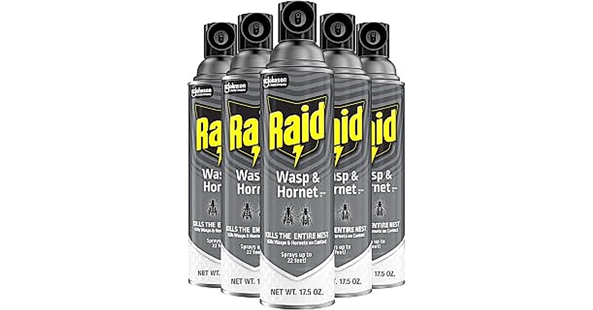 raid wasp &