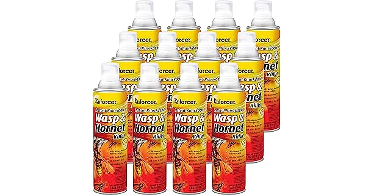 raid wasp &
