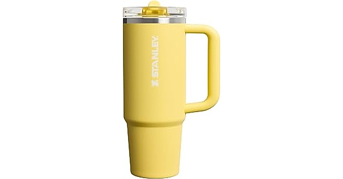 stanley quencher h2.0