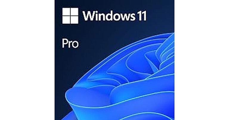 windows 11 pro